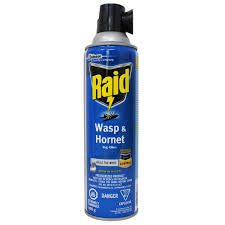 Raid® Wasp and Hornet Killer - 400 g Can